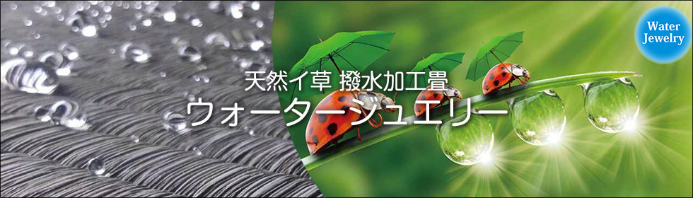ウォータージュエリー 商品ページへ